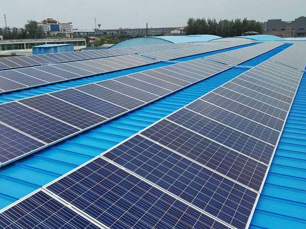 Plant photovoltaic installation