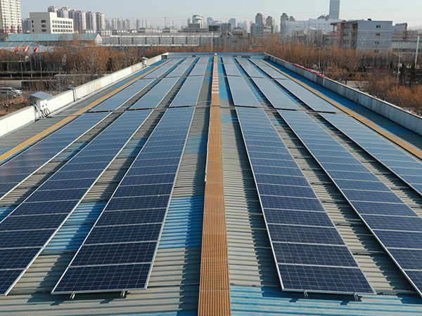 Plant photovoltaic installatio